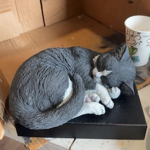 Noelle added a photo of their purchase