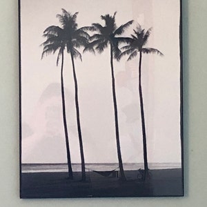 Mary added a photo of their purchase