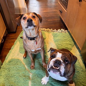 Noelle added a photo of their purchase