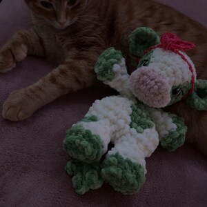 Amy さんが購入した商品の写真を追加しました