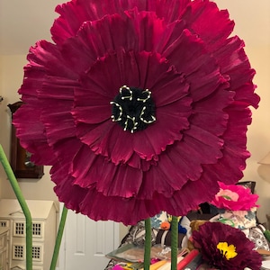 Phelicia added a photo of their purchase