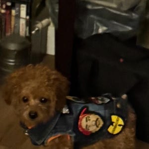 Etsy buyer added a photo of their purchase