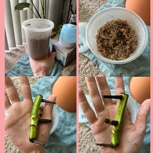 Jenn added a photo of their purchase