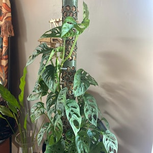 Natalie added a photo of their purchase