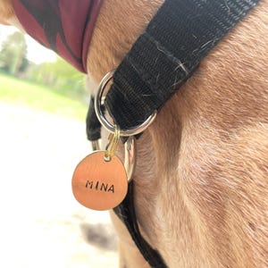 Frederik added a photo of their purchase