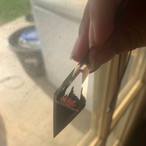 Lacey heeft een foto van de aankoop toegevoegd