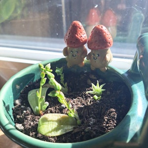 Megan added a photo of their purchase