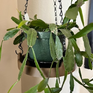 Mary added a photo of their purchase