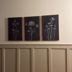 Framed Canvas Wall Art Set Wildflower Floral Botanical Prints ...