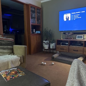 Alan added a photo of their purchase