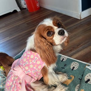 Julia added a photo of their purchase
