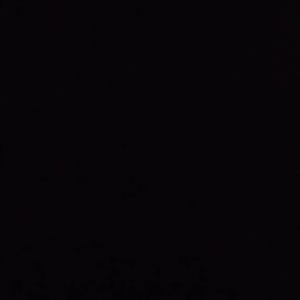 Sarah added a photo of their purchase