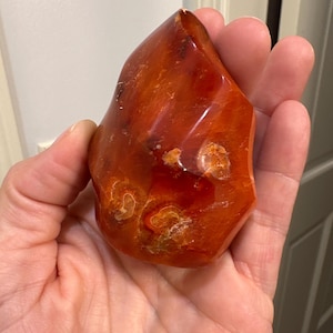 Molly added a photo of their purchase