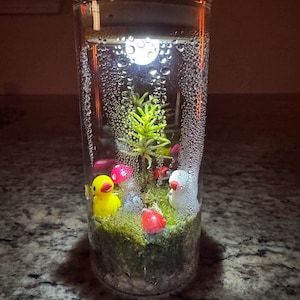 Sarah added a photo of their purchase
