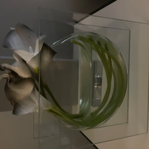 Dr. added a photo of their purchase