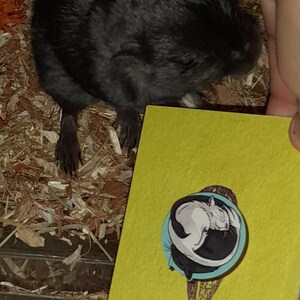 Etsy buyer added a photo of their purchase
