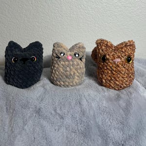 Sarah added a photo of their purchase