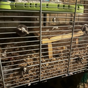 Olivia added a photo of their purchase