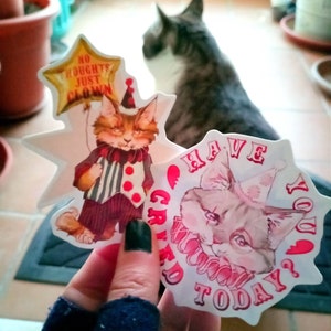 Inaktives Konto hat ein Foto des gekauften Artikels hinzugefügt