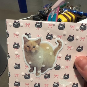 Paige added a photo of their purchase
