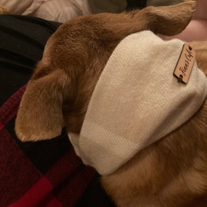 L added a photo of their purchase