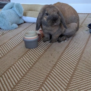 Emilia added a photo of their purchase