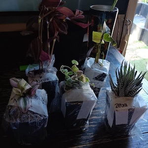 Whitney added a photo of their purchase