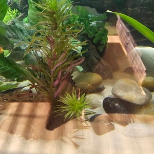 Robert added a photo of their purchase