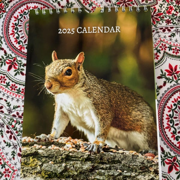 Beagle Calendar 2025 Mini Desk Calendar, Beagle Calendar 20252026