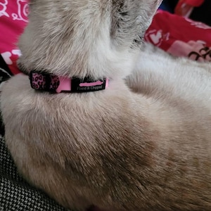 Katelynn added a photo of their purchase