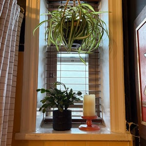 James added a photo of their purchase
