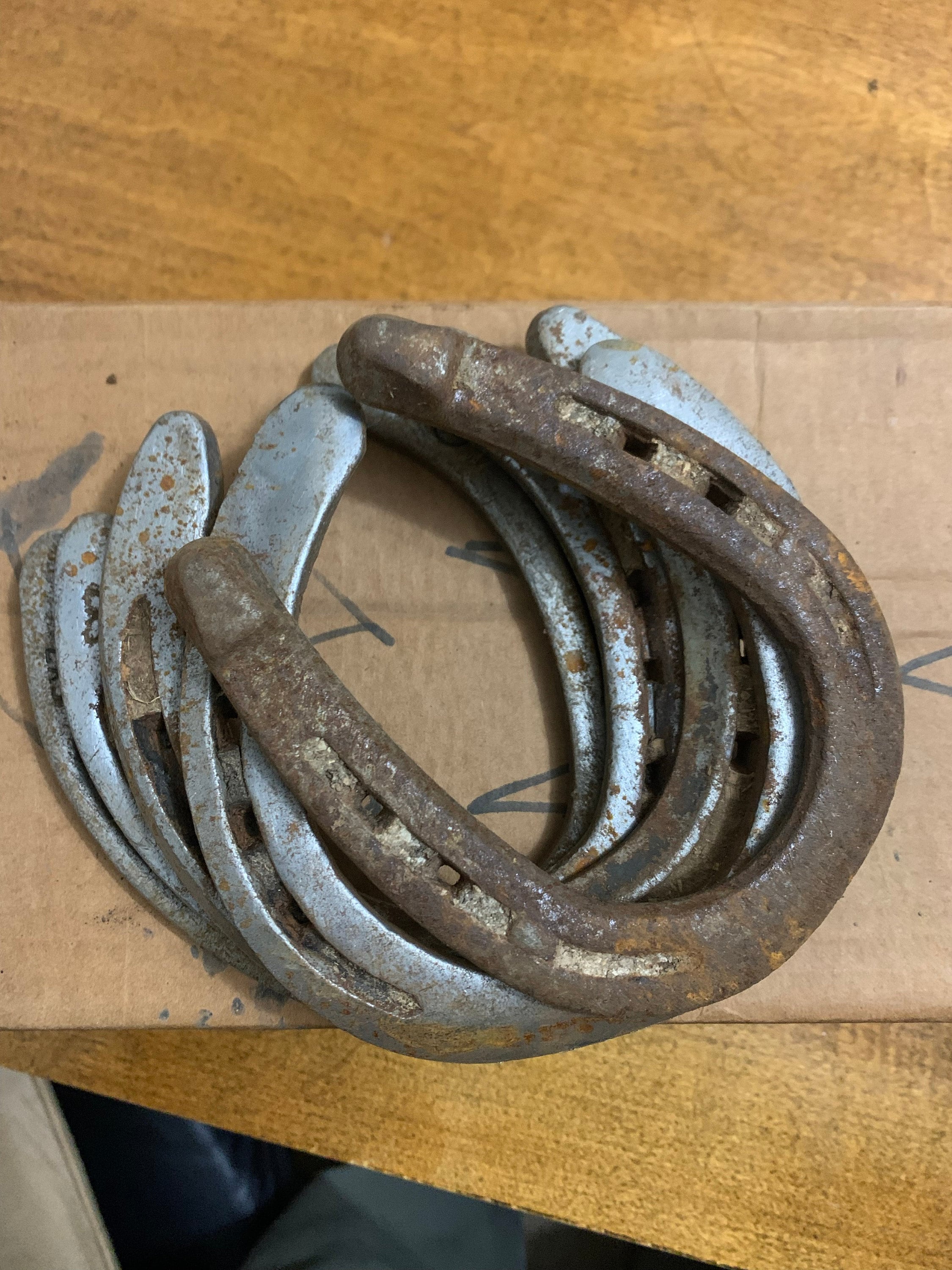Authentic Used Horse Shoes-Flat Shoes-Assorted sizes-Rusted Shoes-Shiny Shoes-Cowboy Art-Farrier Horseshoes-Western Decor
