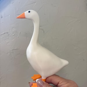 Joyce added a photo of their purchase