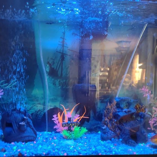 Ocean Floor Shipwreck Aquarium Background - Polyester, Fish Tank Glass Backdrop, Multicolor, Made In USA