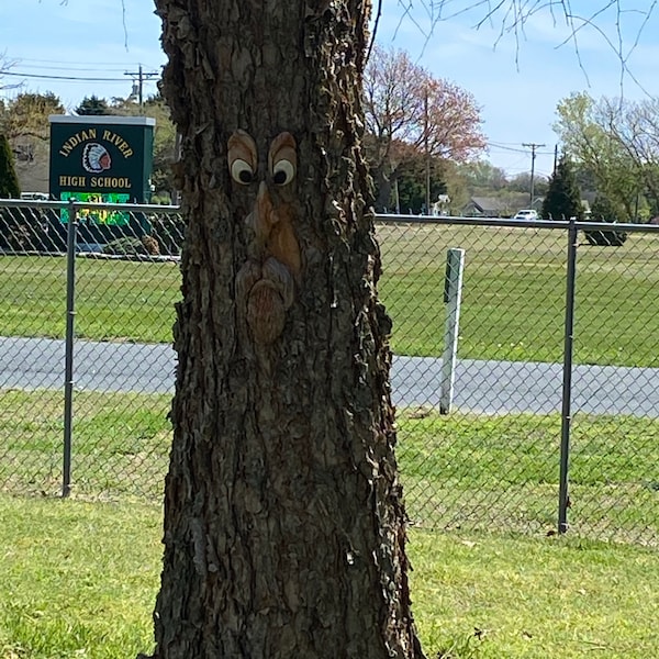 The ORIGINAL & GENUINE Mr. Grumpy Stump Tree Face Gift for Dad Fun ...