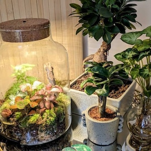 Michelle added a photo of their purchase