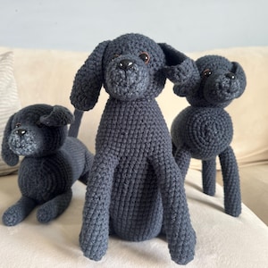 Amanda added a photo of their purchase