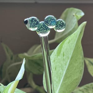 kim added a photo of their purchase