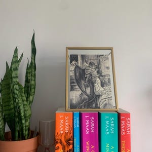 Sara added a photo of their purchase
