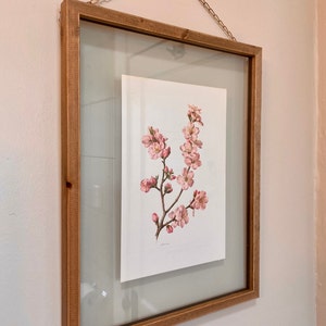 Shannon a ajouté une photo de son achat