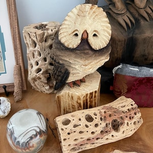 Lorie added a photo of their purchase