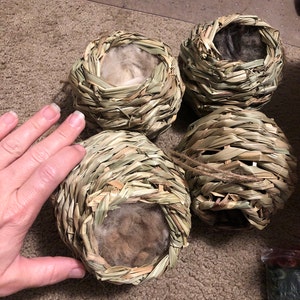 Abby added a photo of their purchase