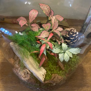 Lisa-Anne added a photo of their purchase