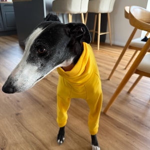 Luisa added a photo of their purchase