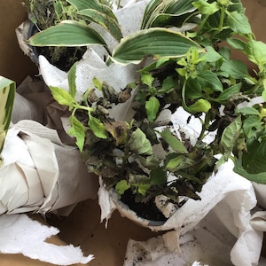 Christine hat ein Foto des gekauften Artikels hinzugefügt