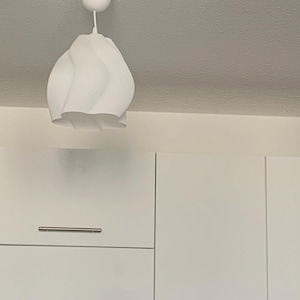 Nicolas さんが購入した商品の写真を追加しました