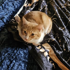 Sarah added a photo of their purchase