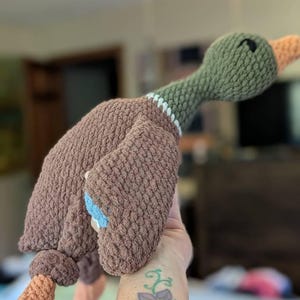 Dana added a photo of their purchase