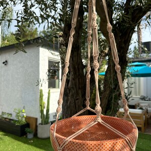 Laura added a photo of their purchase