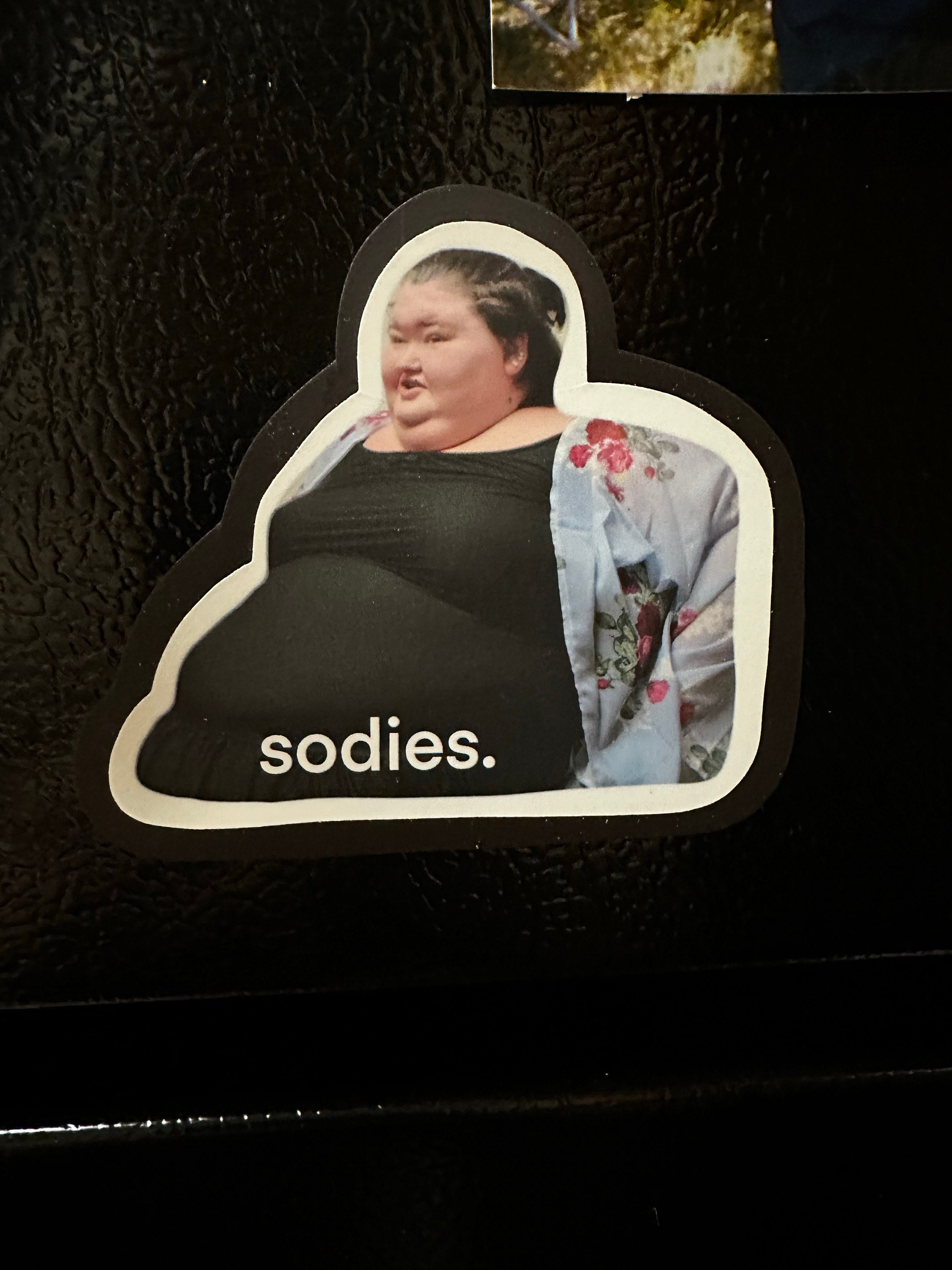Amy Slaton magnet, 1000 lb sisters magnet, funny fridge magnet, sodies, TLC show, 1000 pound sisters, my 600 pound life, my bills are paid